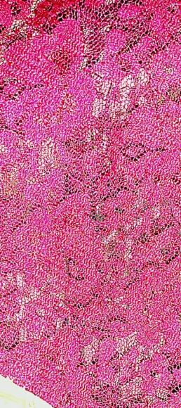 Layered lace skirt - Picture 3 of 4